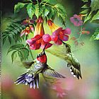 hummingbirds
